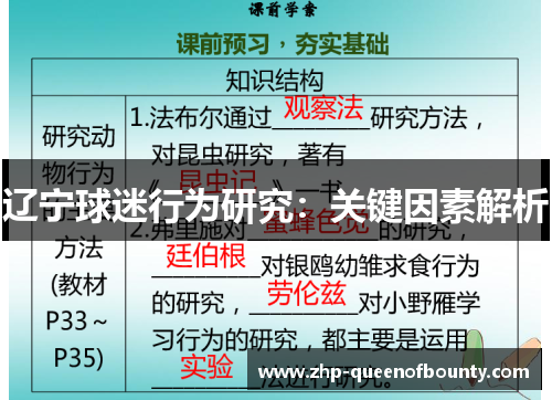 辽宁球迷行为研究：关键因素解析